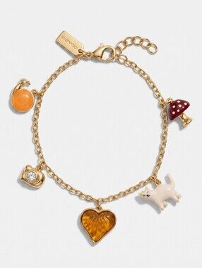 COACH Creature Multi Charm Bracelet